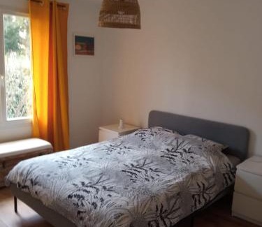 Hyeres Apartment | bougainvilliers