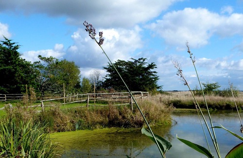 Bouin Cottage | Bouin: Mansion - Bouin