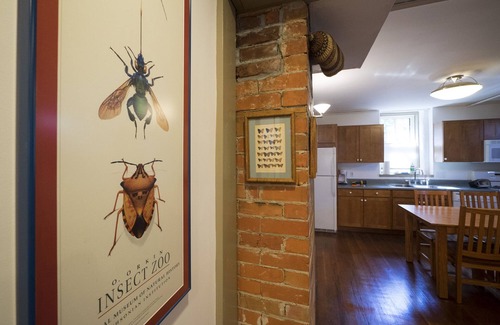 Lower Arapahoe Apartment | Boulder Finest Downtown AND Mountain Location – Garden Apt. at Historic Home
