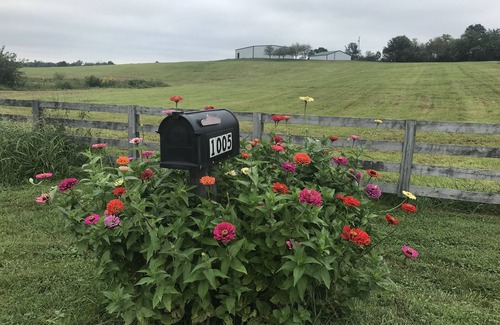 Harrodsburg Apartment | Bourbon Trail, horse farms, relaxation in the countryside.