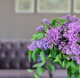 Starozagorski Bani Hotel | Boutique Hotel Lyulyak