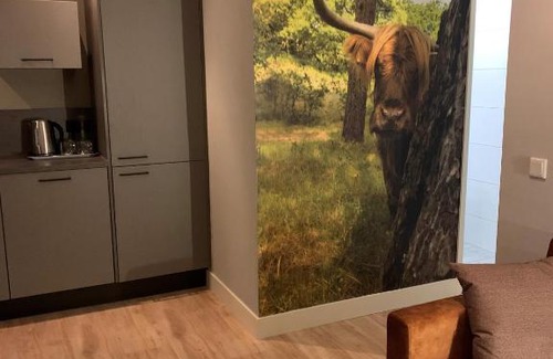 De Moer Hotel | Boutique Hotel en B&B De Zwammenberg