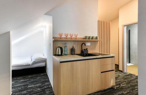 Ruzomberok Hotel | Boutique hotel Vila Efekt
