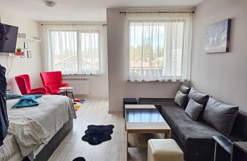 Borovets Apartment | Boutique Studio B37