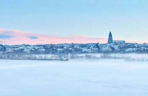 Vesturbær House | Boutique studio flat in City Centre