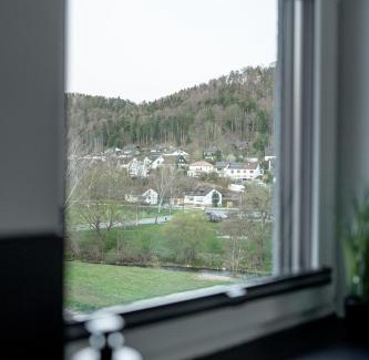 Horb am Neckar Apartment | BPS Apartment #14 Luxury Penthouse - NEU - Deluxe - Modern