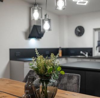 Horb am Neckar Apartment | BPS Apartment #7 Luxury Penthouse - NEU - Deluxe - Modern