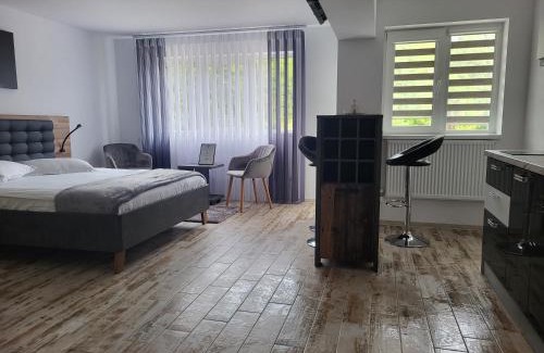 Bradetu Apartment | Brădetu 13