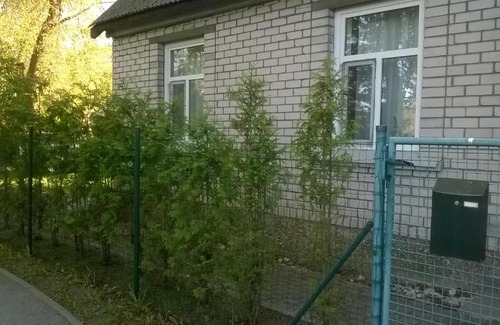 Lapmezciems Parish House | Brīvdienu māja
