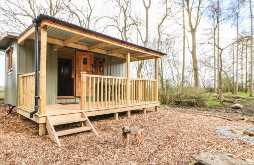 Aldbrough St. John House | Bracken Fern