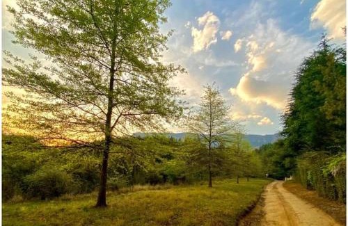 Elandskop Apartment | Brackenburn Trout and Trail Retreat