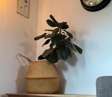 Hamnavoe Apartment | Braelea cozy - country out building with mezzanine