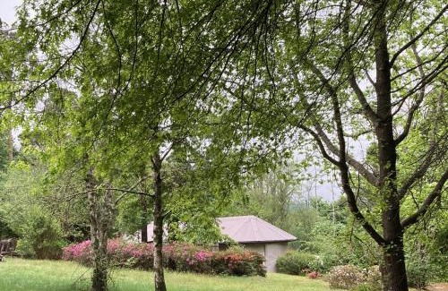 Hogsback Ski Chalet | Bramber Cottage Hogsback, Living With Joy!
