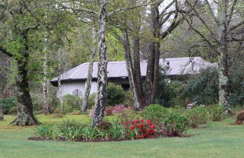 Hogsback Ski Chalet | Bramber Cottage Hogsback, Living With Joy!