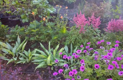 Tiverton Bed & Breakfast | Brambles Bed and Breakfast