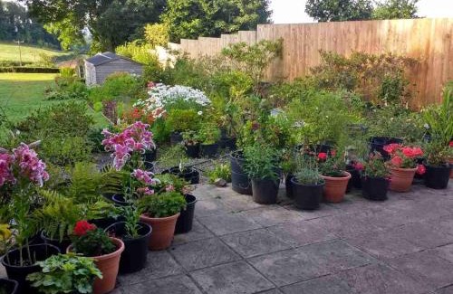 Tiverton Bed & Breakfast | Brambles Bed and Breakfast