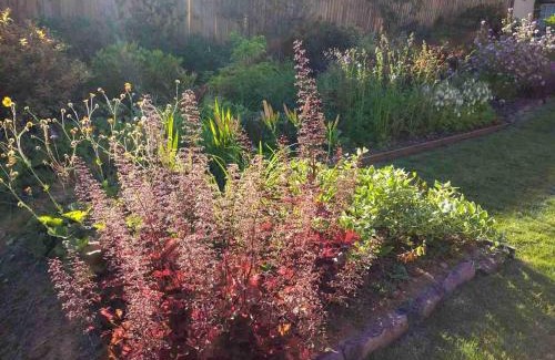 Tiverton Bed & Breakfast | Brambles Bed and Breakfast