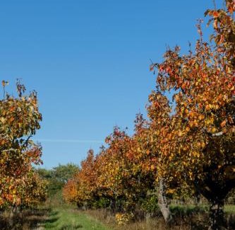 Woodbridge Other | 'Bramley' Hut on private farm