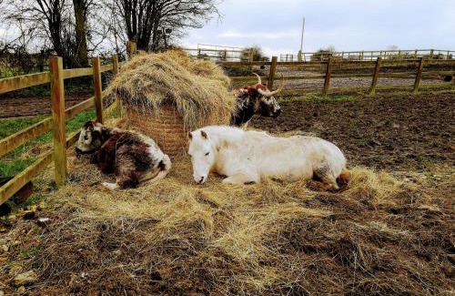 Gainsborough Bed & Breakfast | Brampton Dales Farm