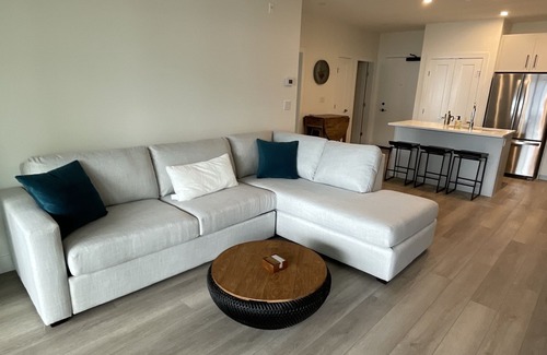McKinley Condo | Brand new 2 Bedroom Lakeside luxury condo with amazing views and beaches below.