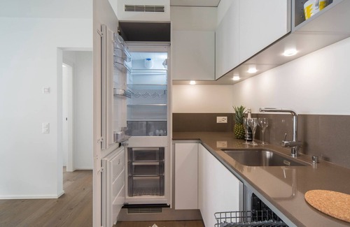 Massagno Apartment | Brand New Apartment In The Heart Of Lugano City 11