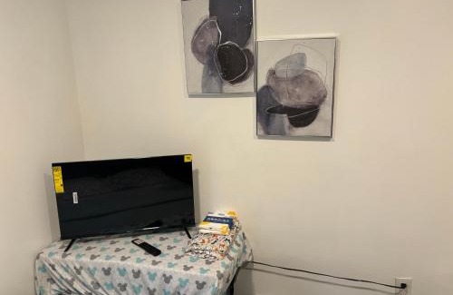 Charles Village House | Brand new bedroom with Tv next JHU