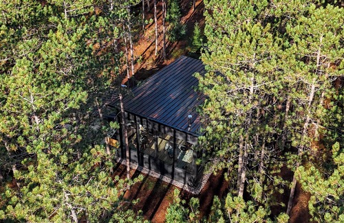 McMurrich/Monteith Cabin | Brand New Black Fox Cabin