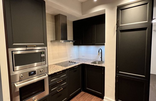 Toronto Entertainment District Condo | Brand New Black Gold Theme Condo Downtown Toronto - Private 1 Bedroom 1 Bathroom