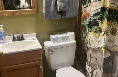 Hinton Cabin | Brand New Cabin on Greenbrier/New Room