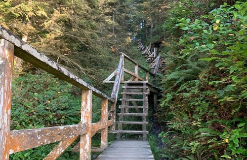 Ucluelet Cabin | Brand new cabin on large property