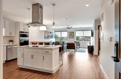 Donelson Apartment | Brand New Chart Topping One Bedroom Apartment