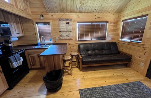 Island Park Cabin | 🦬 BRAND NEW FOR 2024! Easy access to Yellowstone NP! 🦬