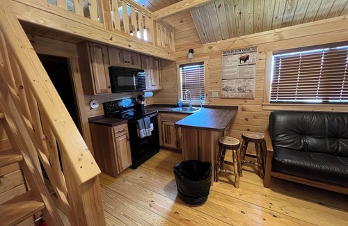 Island Park Cabin | 🦬 BRAND NEW FOR 2024! Easy access to Yellowstone NP! 🦬