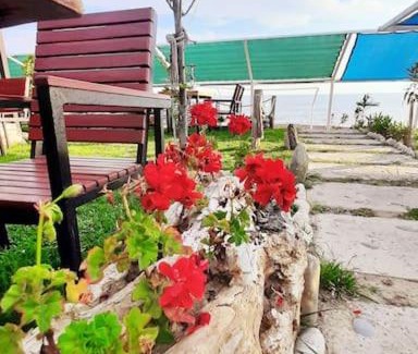 Cenger Apartment | Brand New House by the Sea -Perfect Beach Vacation