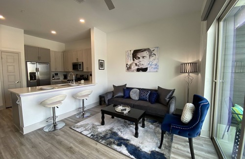 Greenway Plaza-Upper Kirby Apartment | BRAND NEW James Bond Themed Luxury Apt in River Oaks