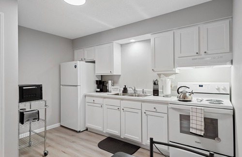 Springfield Apartment | Brand New! Modern 1BD,1BA Hidden Gem w/King Bed, Patio, Fast WiFi & Free Parking