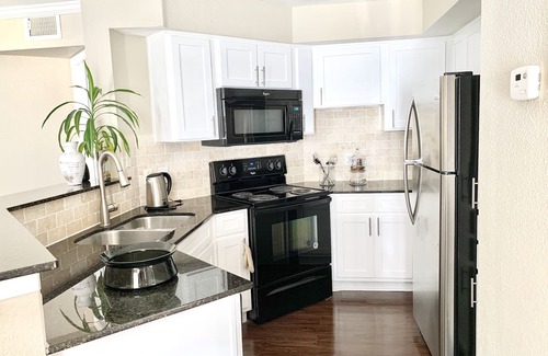Astrodome Apartment | Brand New near Houston Medical Center/Rice University/NRG Stadium