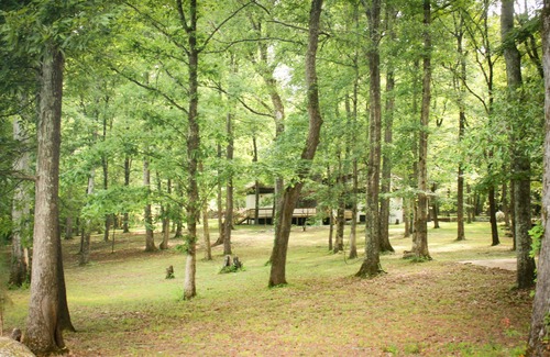 Tuscumbia House | BRAND NEW: Pickwick Preserve Luxury Private Estate - 300 Acres on Pickwick Lake