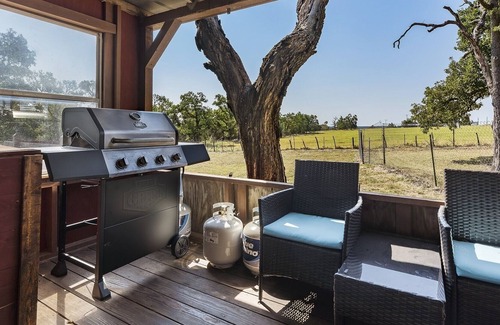 Willow City House | Brandi's Bluebonnet Bungalow | New Listing | Pet-friendly