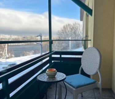 Greifenstein House | Brauner Bär mit tollen Ausblick
