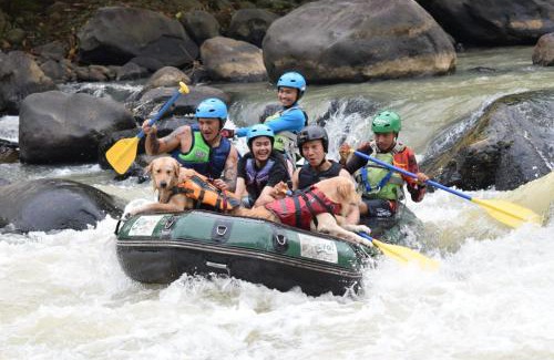 Cikidang Other | Bravo Adventure Glamping