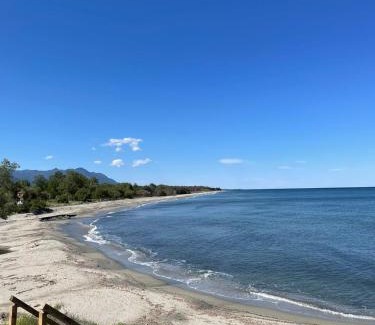 Bravone Apartment | BRAVONE 135- T4- Piscine en résidence- pieds dans l'eau- clim-wifi