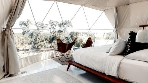 Fischer Other | Breathtaking Dome with Spectacular Outdoor Living and Chic Elegant Interior in Texas