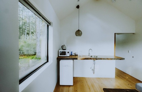 Friday Harbor Apartment | Breathtaking modern boutique hotel with hot tubs & ocean views