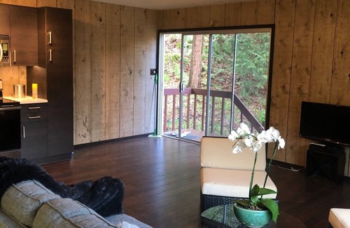 Napa Apartment | Breathtaking Napa Valley 30-day rental!