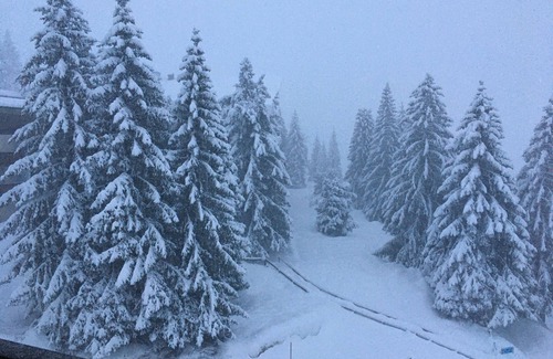 Eaux-Bonnes Apartment | Breathtaking view of the slopes and the valley- Apartment 6 pers.