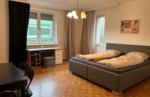 Floridsdorf Villa | Breathtaking Villa near Danube River/w Garden and Parking