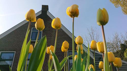 Municipality of Woerden House | Breeveld Cottage