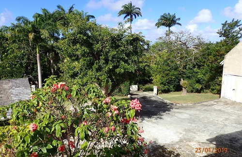Apes Hill Apartment | Breezy, hilltop retreat with pool, only 10 minutes from Holetown