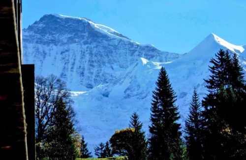 Wengen Apartment | Breithorn Residence Apt.3 by Interhome